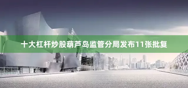 十大杠杆炒股葫芦岛监管分局发布11张批复