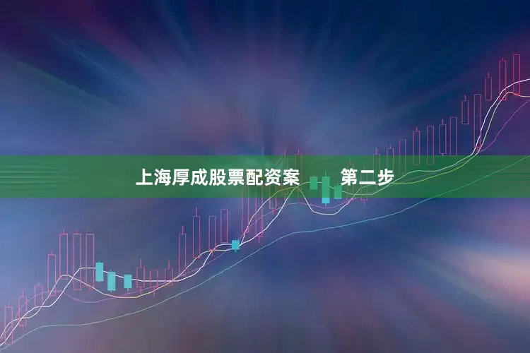 上海厚成股票配资案        第二步