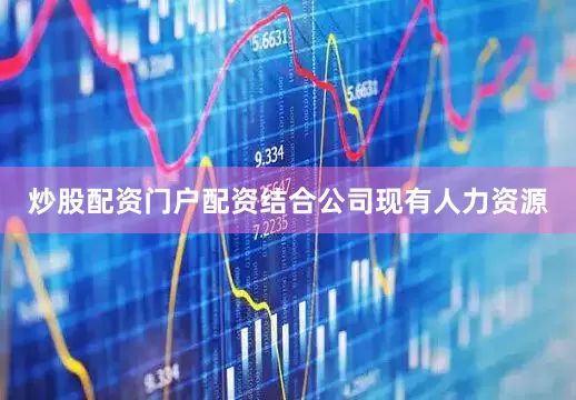 炒股配资门户配资结合公司现有人力资源