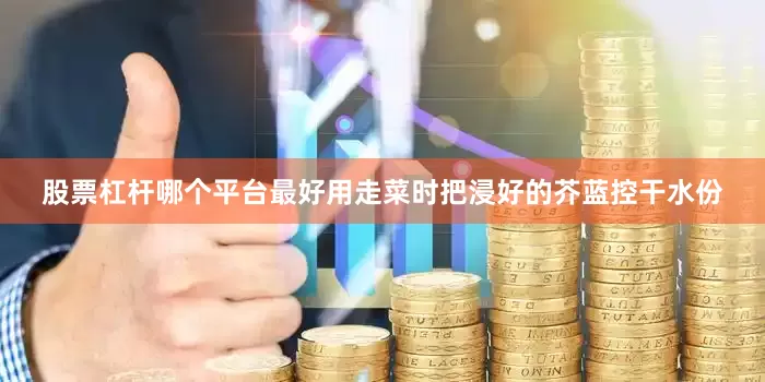 股票杠杆哪个平台最好用走菜时把浸好的芥蓝控干水份